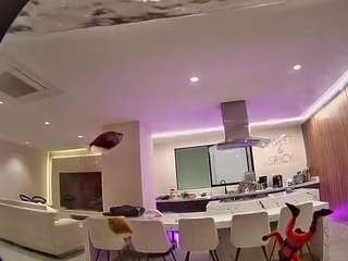 voyeurcam casa salsa fishtank